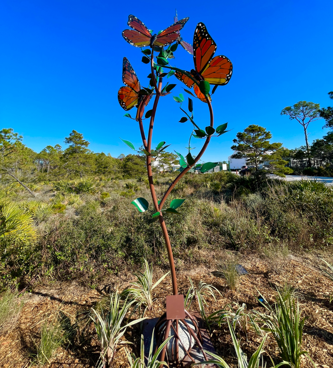 Dancing Monarchs by Peter Hazel